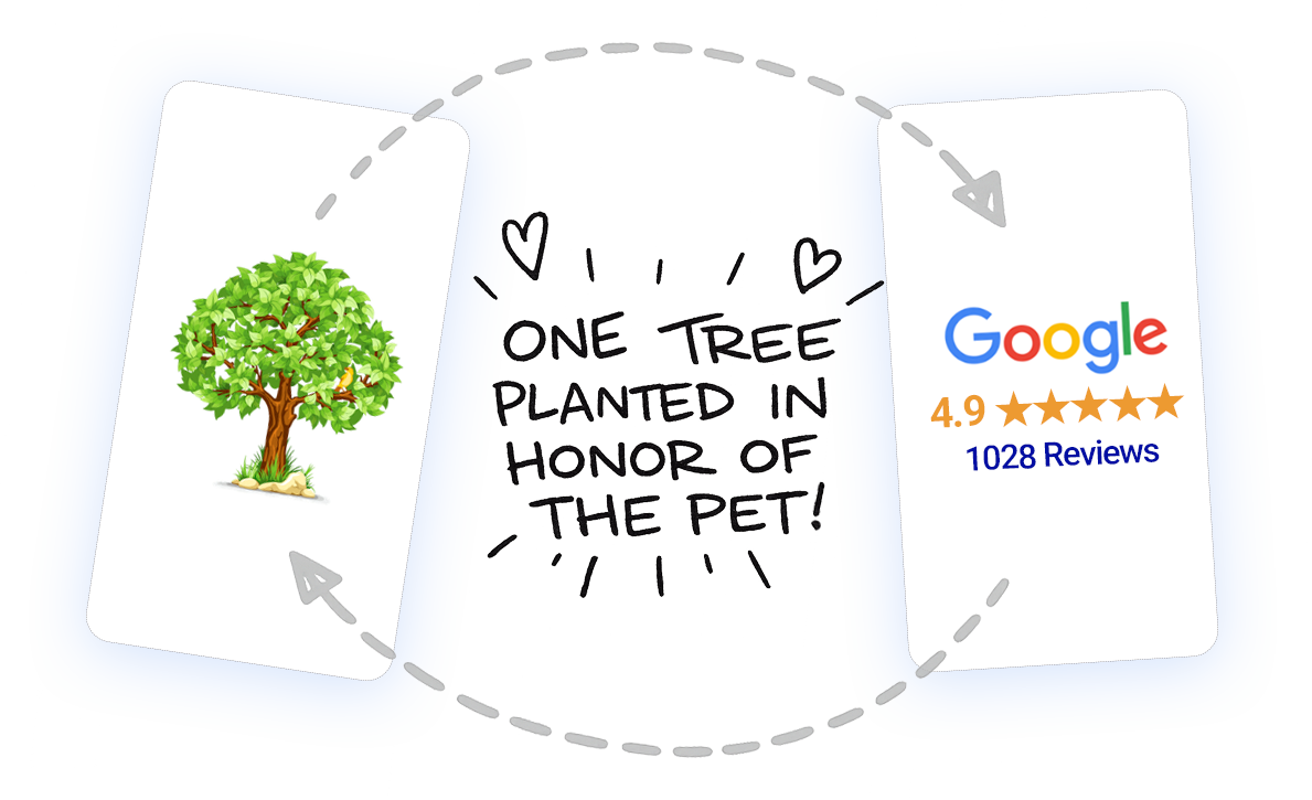 One tree planted in honor of the pet for every Google review